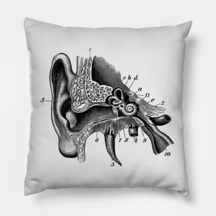 Inner Ear Anatomy Diagram Pillow