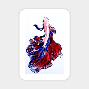 Art Doodle No. 32 Betta Fish Magnet