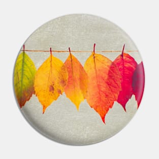 Autumn glory Pin