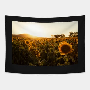 In Golden Fields Tapestry