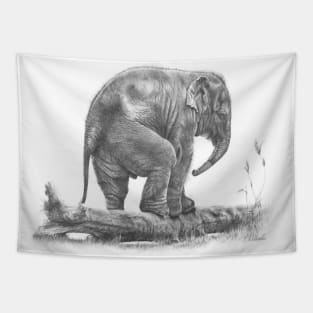 The Little Big Man - Elephant calf pencil drawing Tapestry