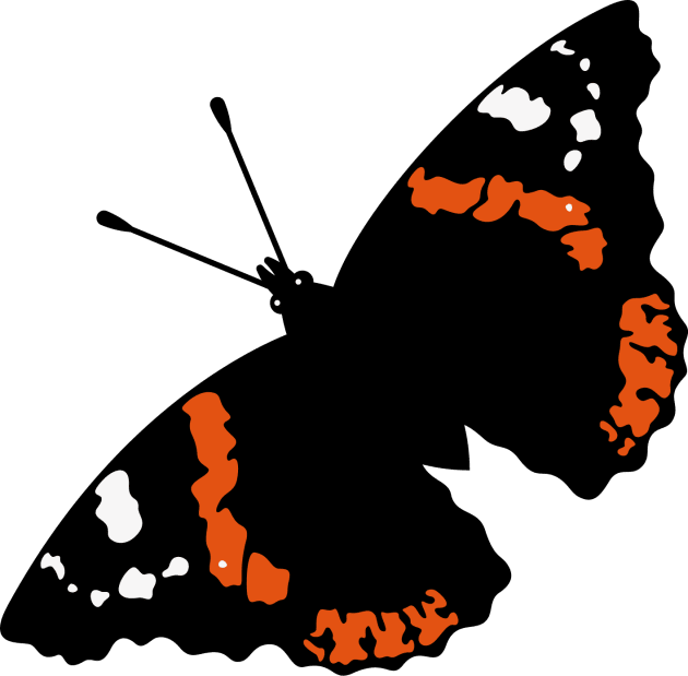 Butterfly (Red Admiral / Vanessa Atalanta / Rotated 45°) Kids T-Shirt by MrFaulbaum