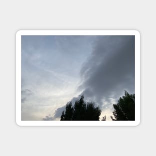 Cloudy sky with trees Magnet