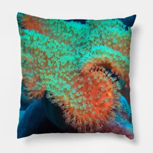 Sinularia Toadstool leather coral Pillow