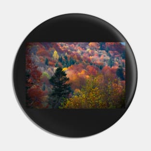 Autumn carpathian forest Pin