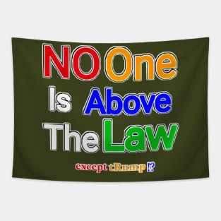 No One Is Above The Law Except tRump!? - Double-sided Tapestry