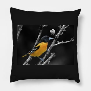 Baltimore Oriole Pillow