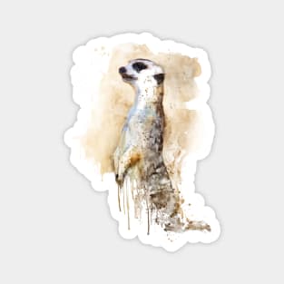 Watercolor Painting - Meerkat Sentinel Magnet