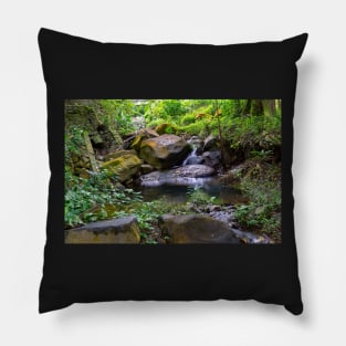 Mambukal Mountain Resort Philippines Pillow