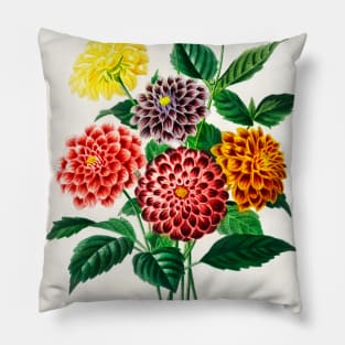 Dahlia Pillow