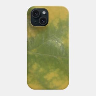 Autumn Yellow-Green Oak Leaf Print Phone Case