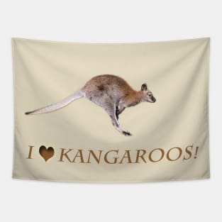 Kangaroo Tapestry