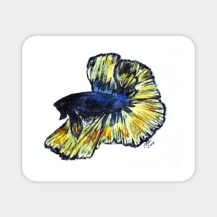 Art Doodle No. 34 Betta Fish Magnet