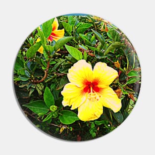 Yellow flower photography Pin