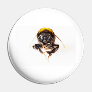 Bumble Bee Pin