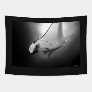 Manta Ray B&W Tapestry