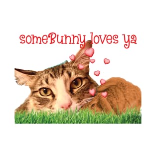 Some Bunny loves you Maine Coon cat T-Shirt