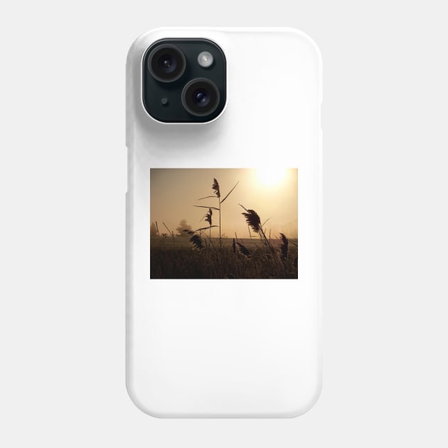 Frost and Fog Phone Case by bgaynor