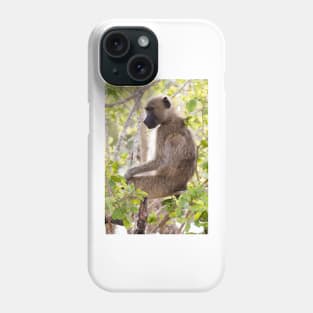 Chacma Baboon - Kruger National Park, South Africa Phone Case