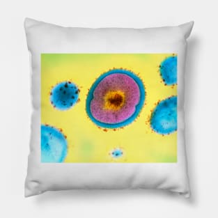 Single Staphylococcus aureus bacterium (B234/0086) Pillow