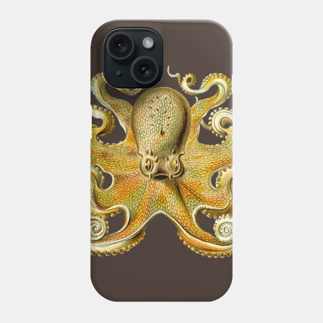 Giant Octopus by Ernst Haeckel Phone Case by MasterpieceCafe