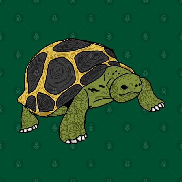 Tortoise by Geometrico22