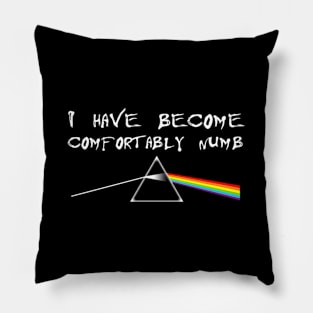 I Have Become Comfortably Numbk Floyd Pillow