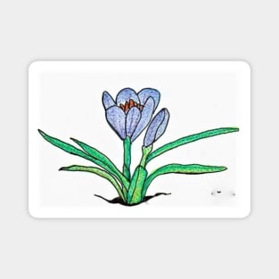 Crocus 02 Magnet