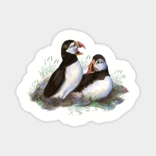 Watercolor Puffin Birds Sea Bird Magnet