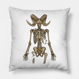 Bones Pillow