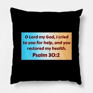 Bible Verse Psalm 30:2 Pillow