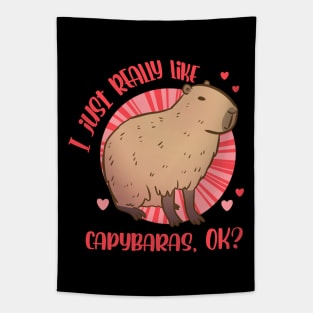 I just really like capybaras OK? Tapestry