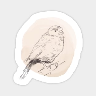 Hand drawn illustration of canary bird Magnet