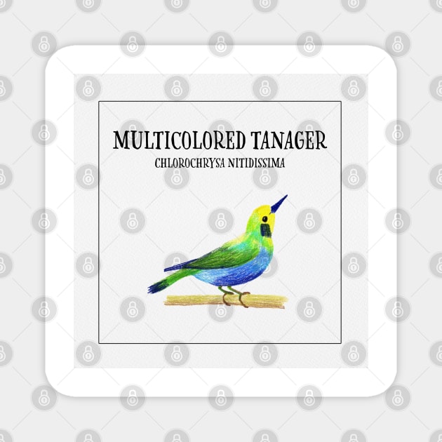 Birdies IV: Multicolored Tanager Magnet by Aidi Riera