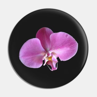 Pink Orchid Flower Closeup Pin