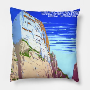 Vintage Travel Poster USA Zion National Park Pillow