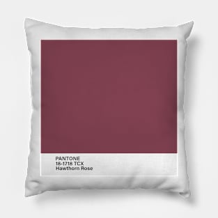 pantone 18-1718 TCX Hawthorn Rose Pillow