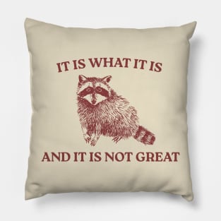 It Is What It Is And It Is Not Great Pillow