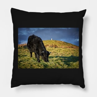 Grazing Pillow