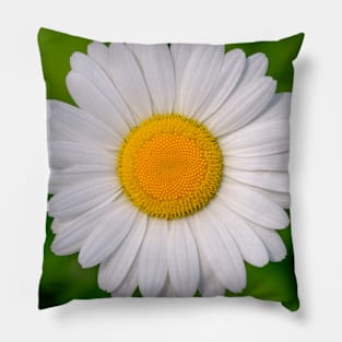 White Flower Minimal Photograph Pillow