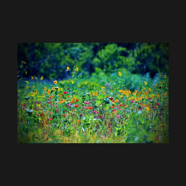 Wildflowers by Cynthia48