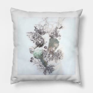 Angelica Map Pillow