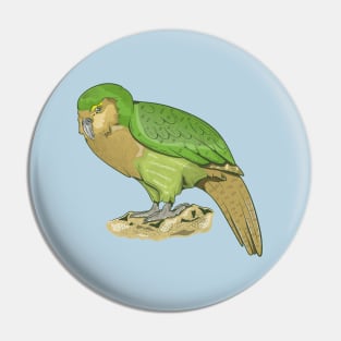 Kakapo Pin