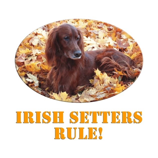 Irish Setters Rule! by Naves