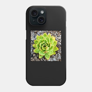 Beautiful Green Aloe Phone Case