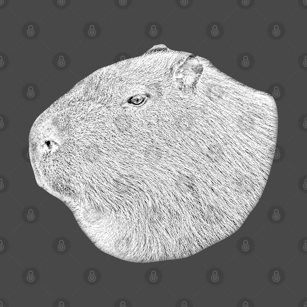 Capybara line drawing conversion by dalyndigaital2@gmail.com