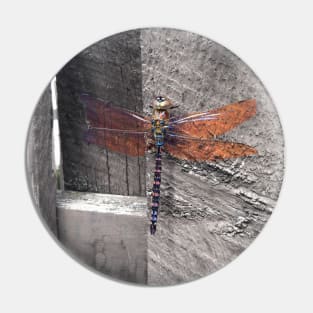 Dragonfly Pin