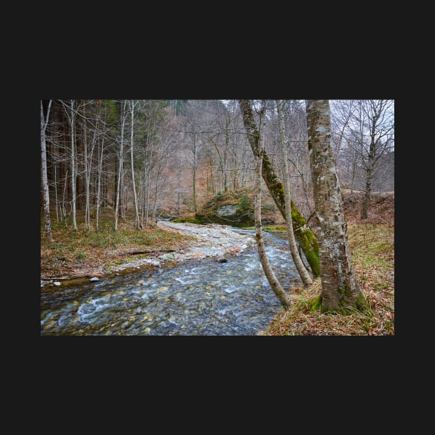 River flowing through mountain by naturalis