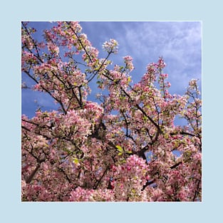 Spring Blossom Against a Blue Sky T-Shirt