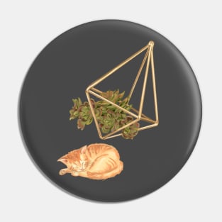 Geometric Succulent Planter and Cat Pin